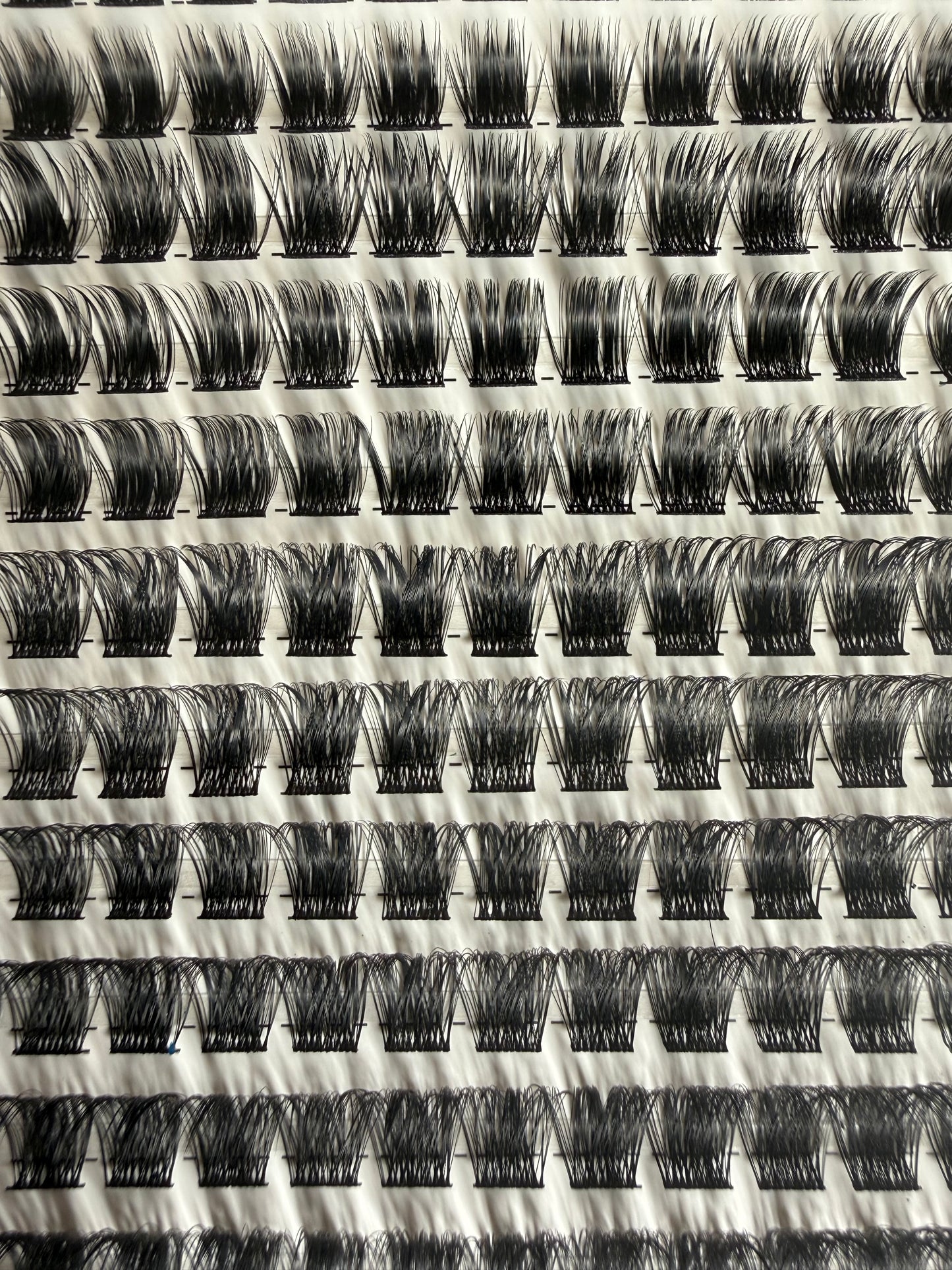 WISPY LASH KIT